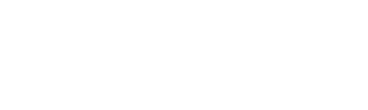 Bib Consulting Logo