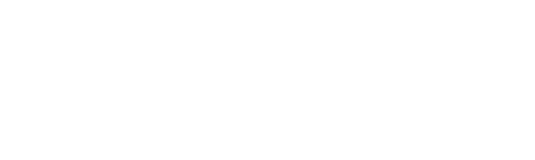 Stoll Trabold Logo